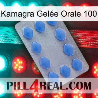 Kamagra Gelée Orale 100 21